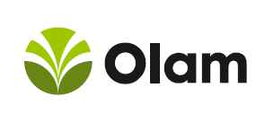 https://cottonmadeinafrica.org/wp-content/uploads/Olam-Logo.png